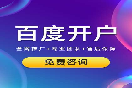 某行业SEM竞价策略的运营实践与效果